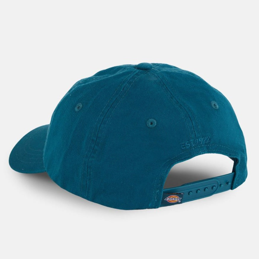 Dickies Hardwick Cap Reflecting Pond