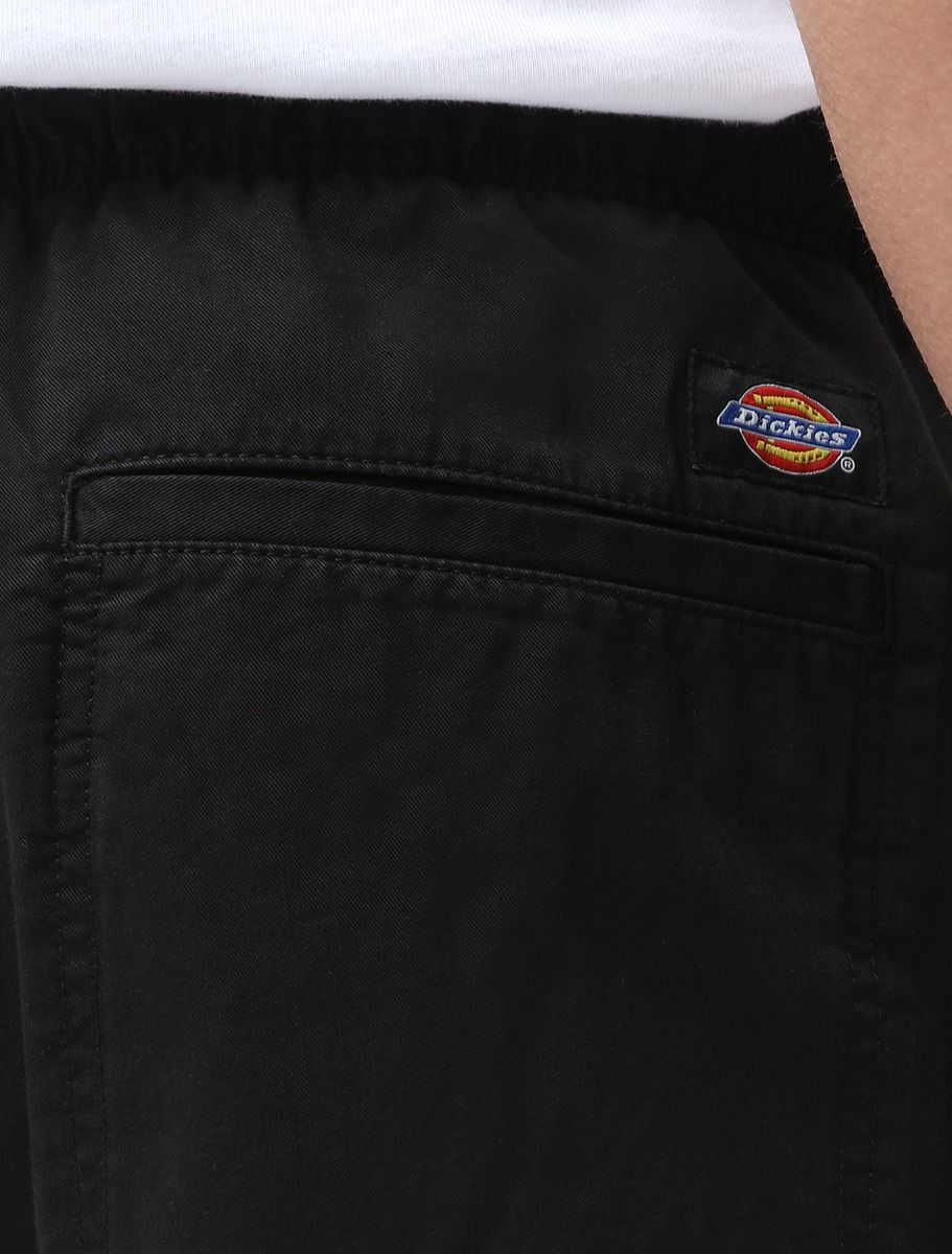Dickies Pelican Rapids Shorts