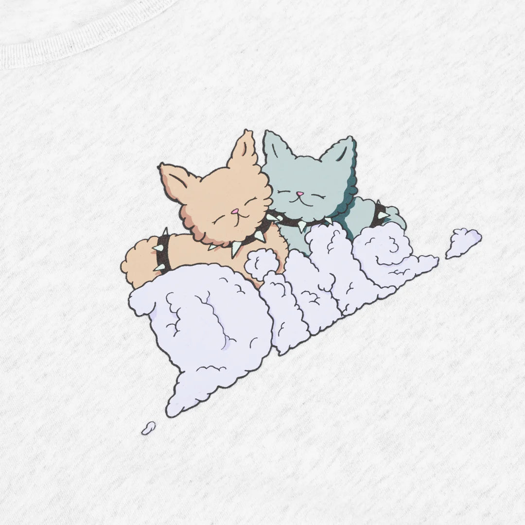 Dime Fluff T-Shirt Ash