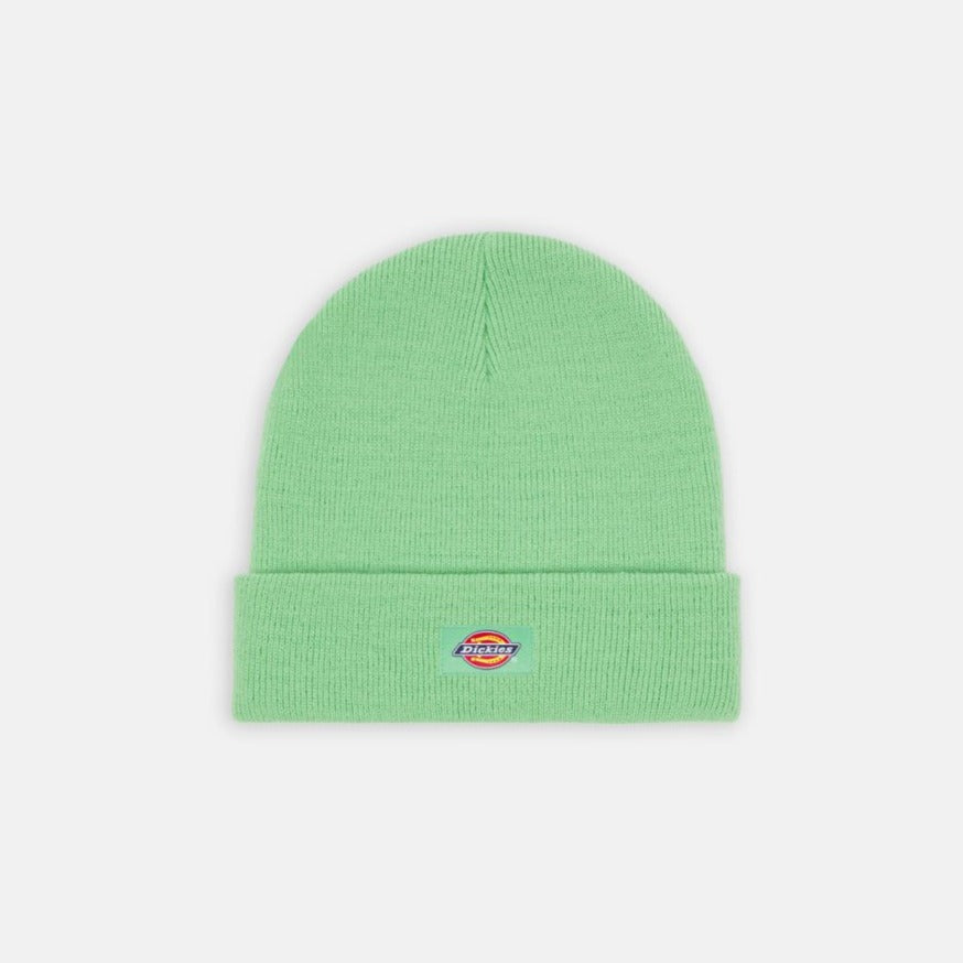 Dickies Gibsland Beanie Apple Mint