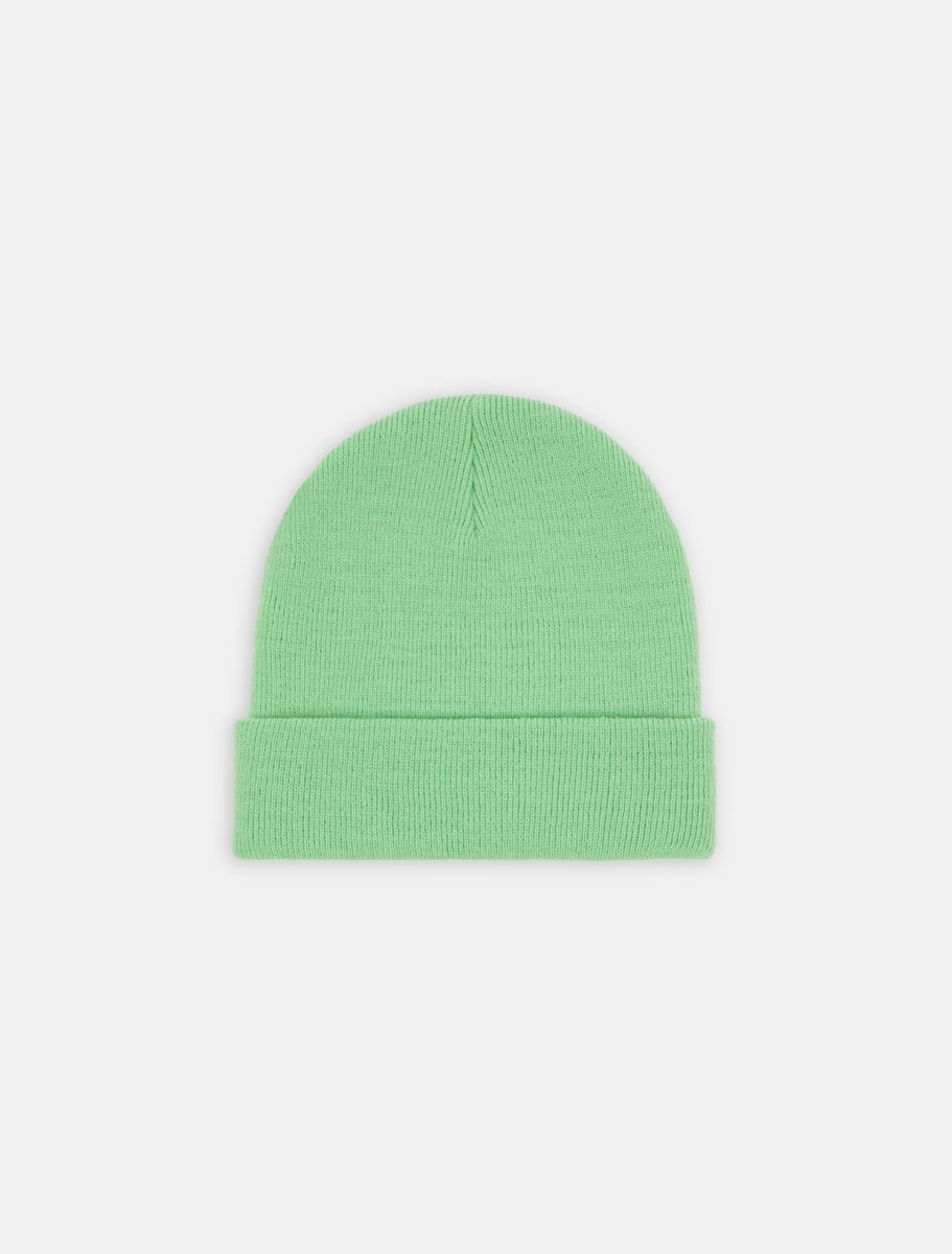 Dickies Gibsland Beanie Apple Mint